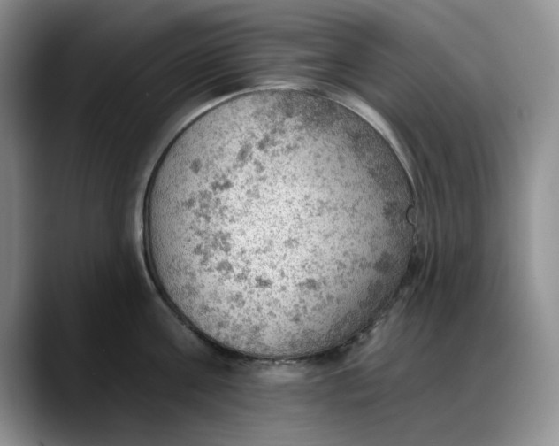 X0000088160811200705291910