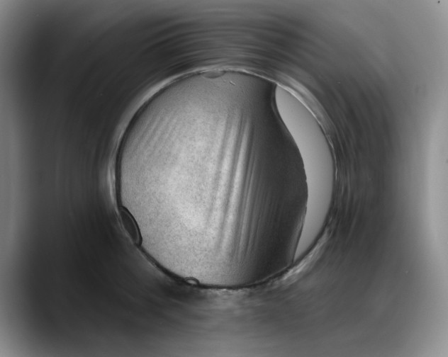 X0000088160812200705291910