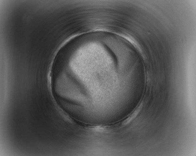 X0000088160814200705291910