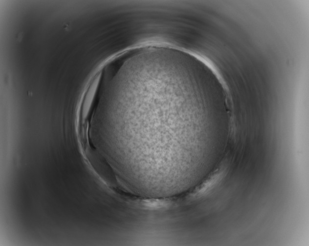 X0000088160815200705291910