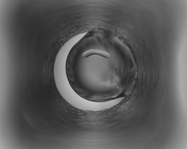 X0000088160818200705291909