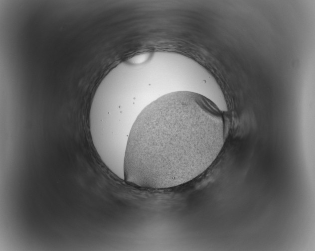 X0000088160820200705291909
