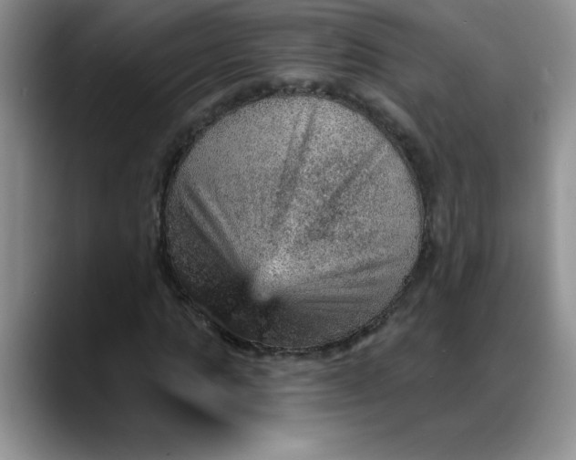 X0000088160821200705291909
