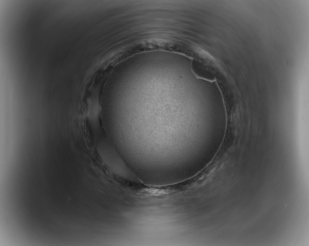 X0000088160822200705291909