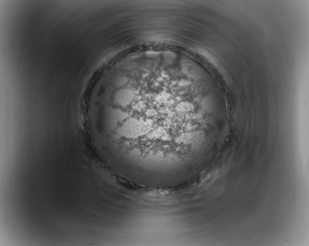 X0000088160823200705291909