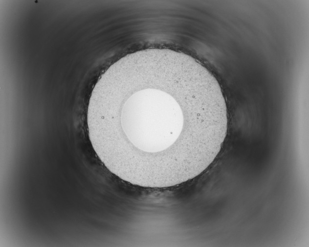 X0000088160824200705291909