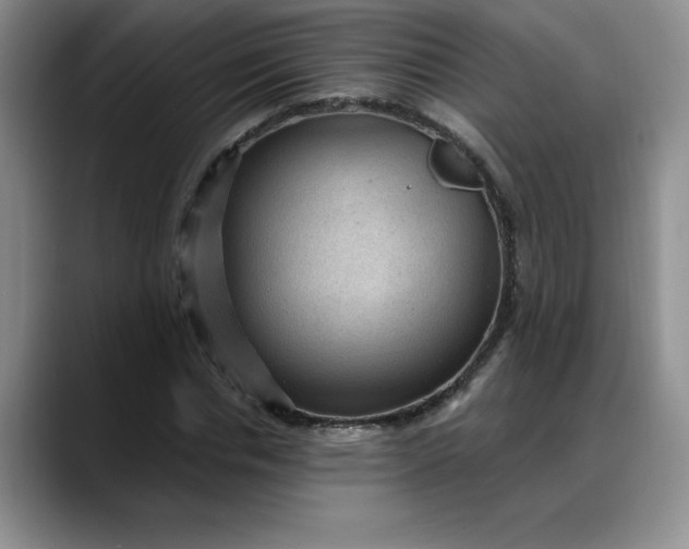 X0000088160826200705291910