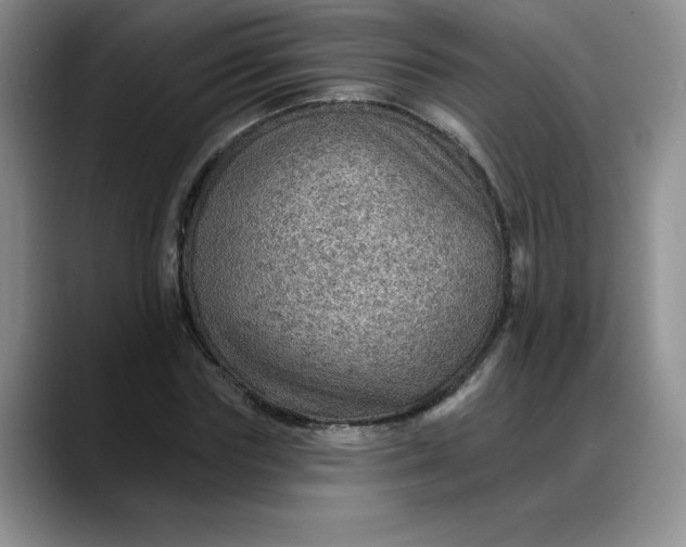 X0000088160827200705291910