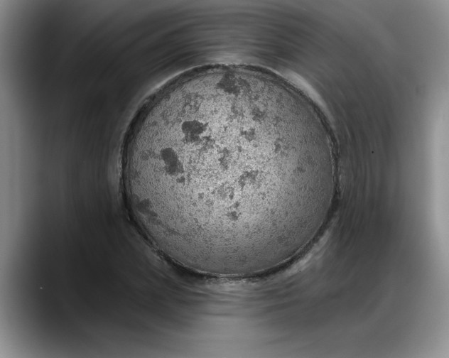 X0000088160831200705291910