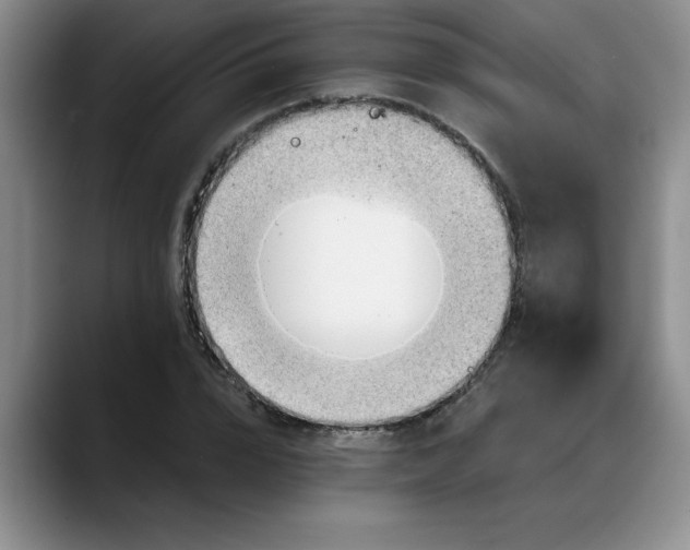 X0000088160832200705291910