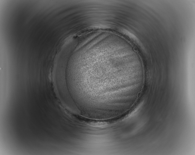 X0000088160833200705291910