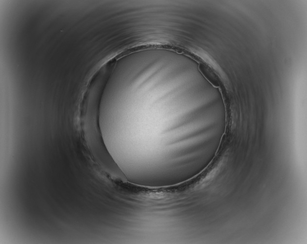 X0000088160834200705291910