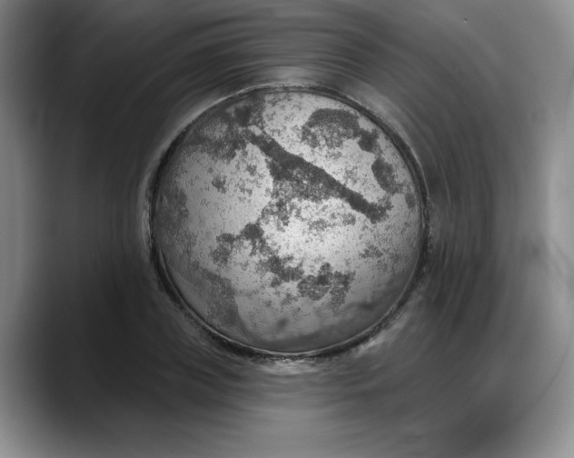X0000088160835200705291910