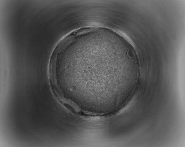 X0000088160839200705291910