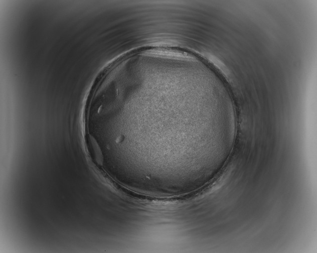X0000088160840200705291910