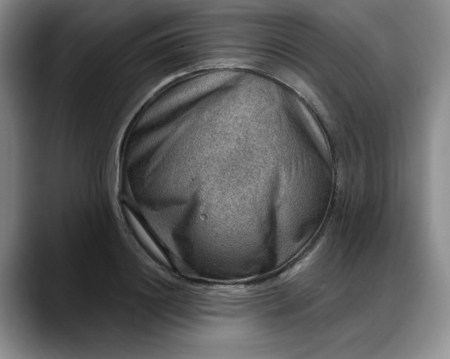 X0000088160844200705291910