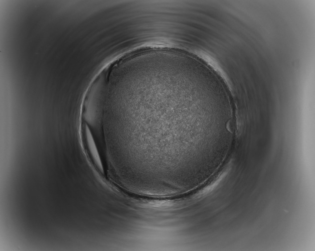 X0000088160845200705291910