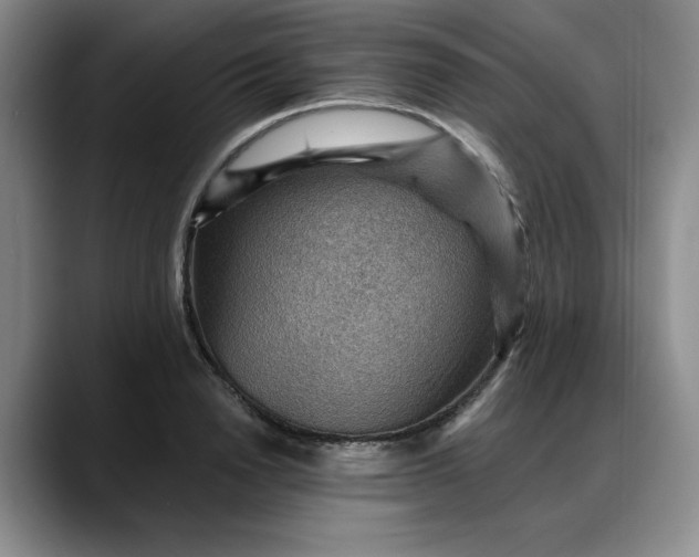 X0000088160846200705291910