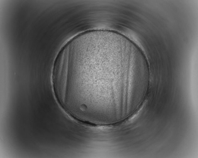 X0000088160847200705291910