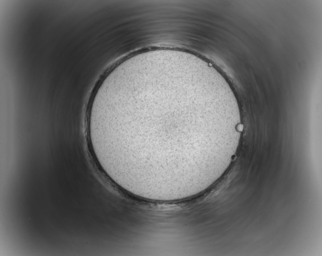 X0000088160848200705291910