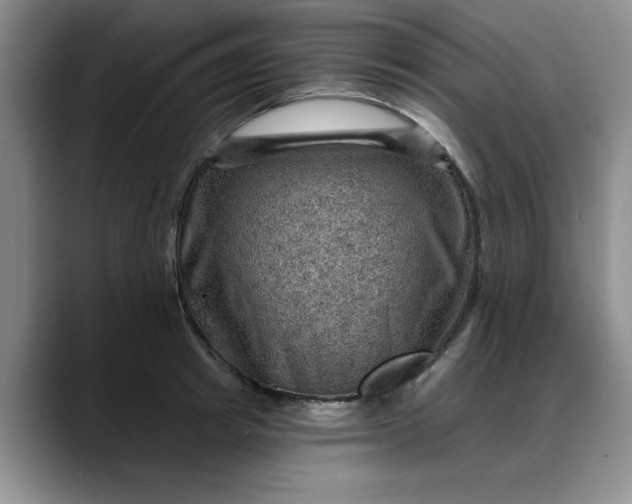 X0000088160849200705291910