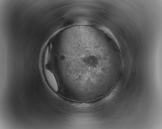 X0000088160851200705291910