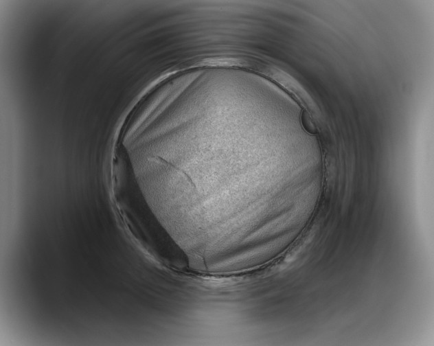 X0000088160852200705291910