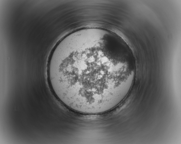 X0000088160853200705291910