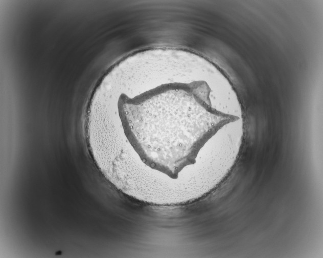 X0000088160856200705291910
