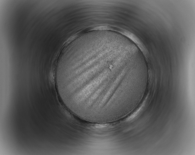 X0000088160857200705291910