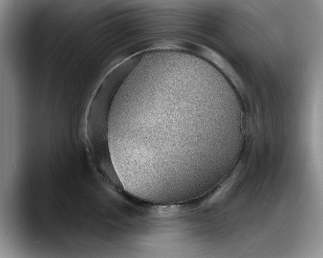 X0000088160858200705291910