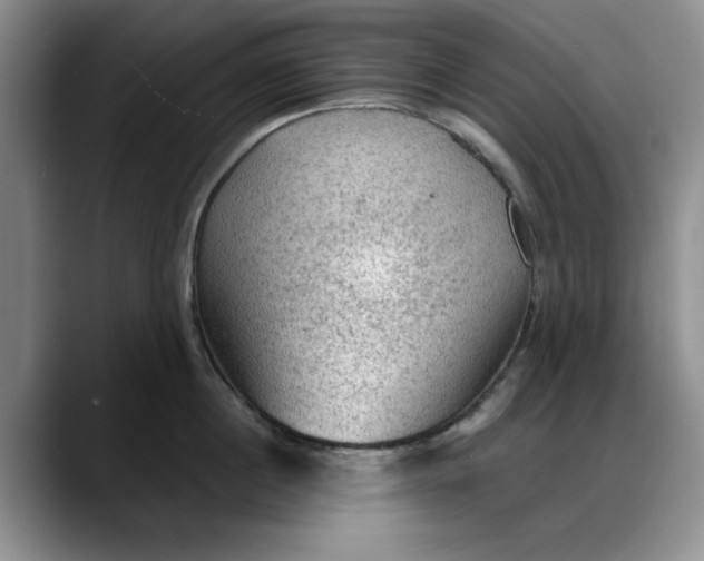 X0000088160860200705291910