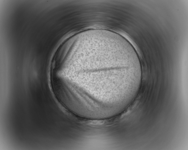 X0000088160861200705291910