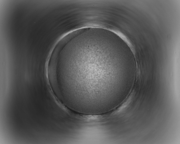 X0000088160862200705291910