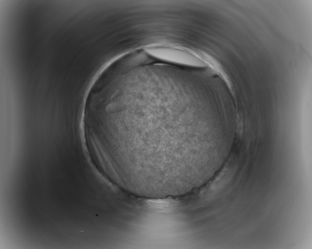 X0000088160863200705291910