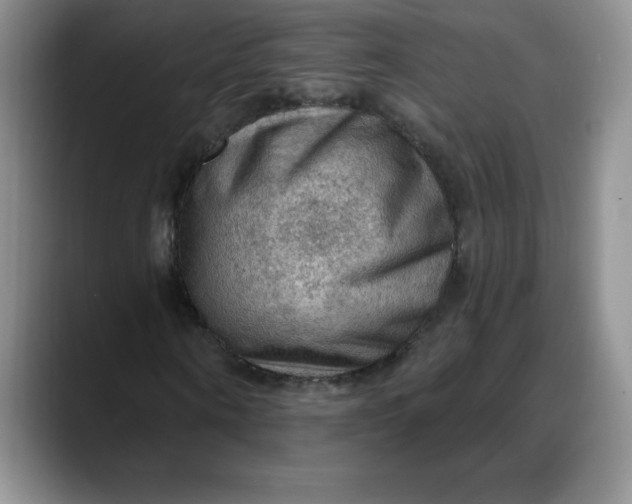 X0000088160866200705291909
