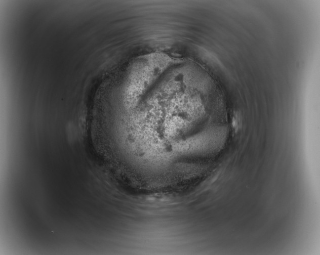 X0000088160867200705291909