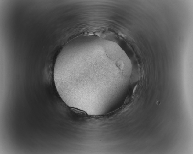 X0000088160868200705291909