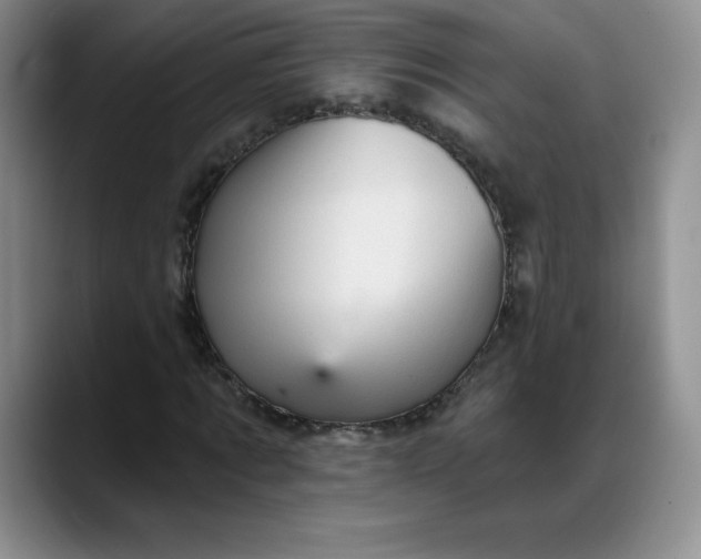 X0000088160869200705291909