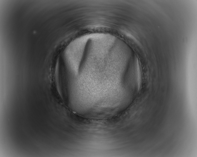 X0000088160870200705291909