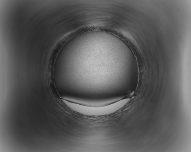 X0000088160872200705291909