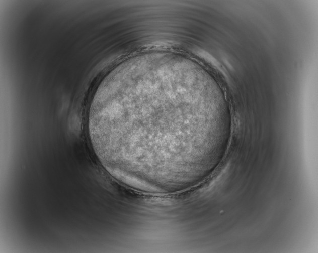X0000088160874200705291909