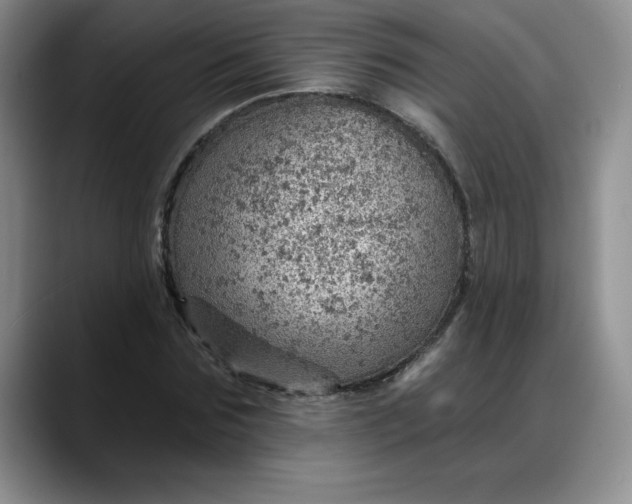 X0000088160875200705291909