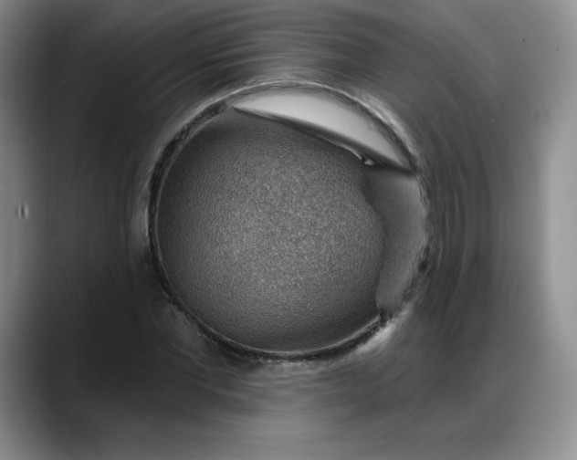 X0000088160877200705291909