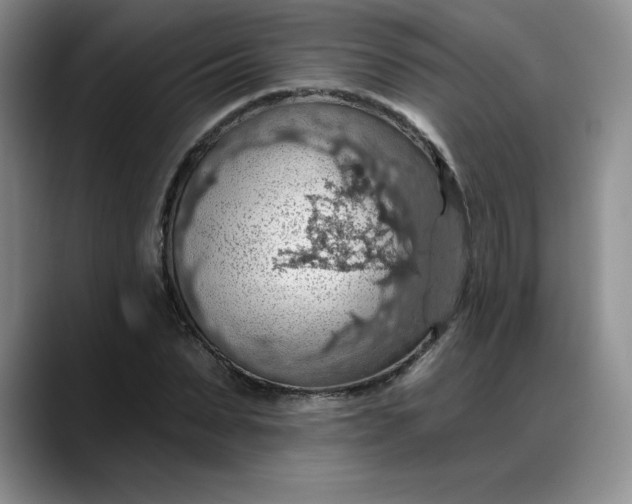 X0000088160879200705291909