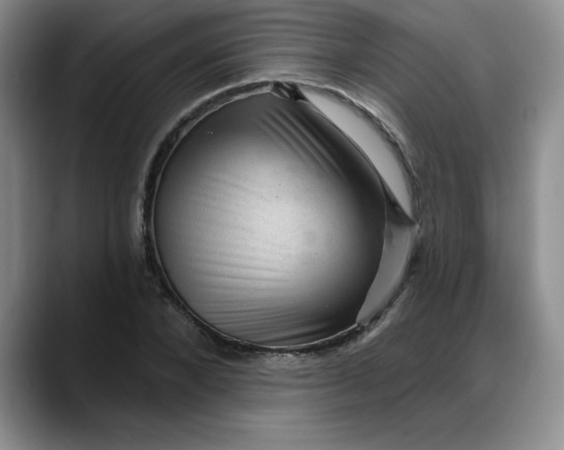 X0000088160880200705291909
