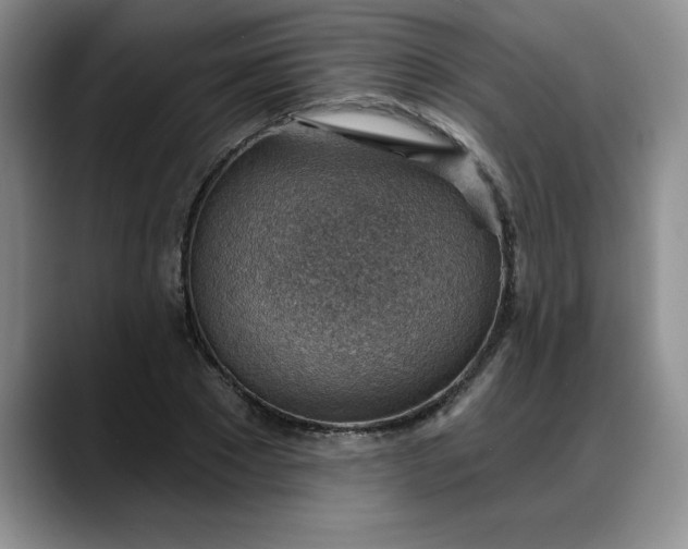X0000088160881200705291909