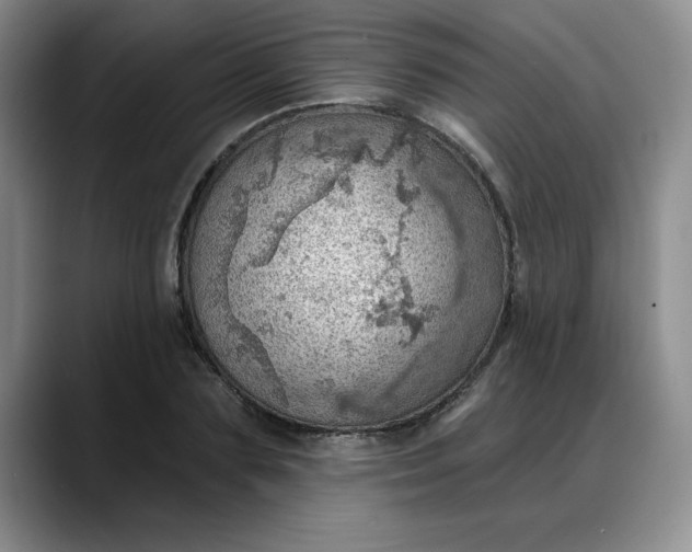 X0000088160883200705291909
