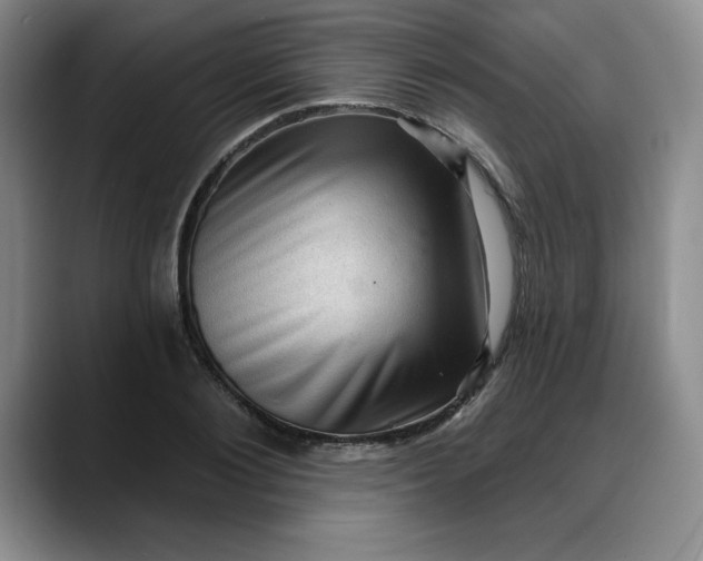 X0000088160884200705291909