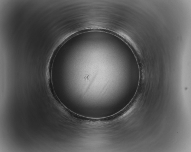 X0000088160885200705291909